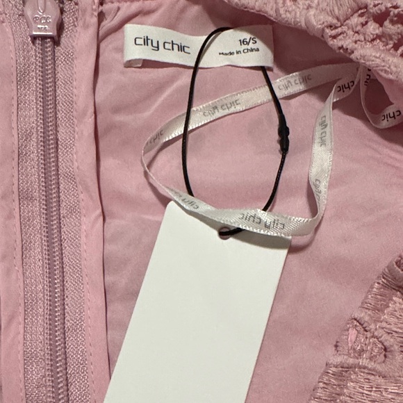 NWT City Chic Pink Lace Women Dress - Picture 5 of 5